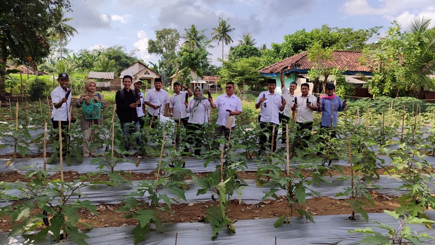 PANEN RAYA, PROGRAM K3-1W TIYUH KARTA SARI